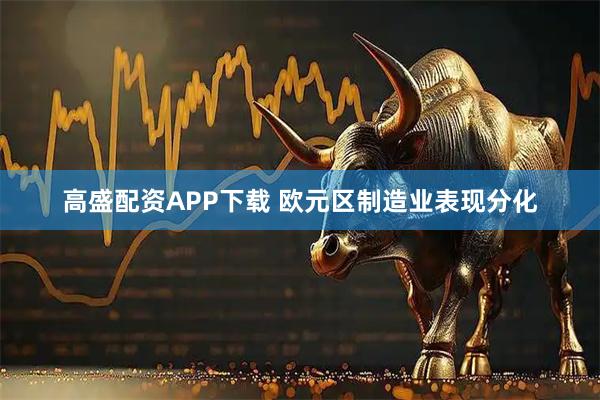 高盛配资APP下载 欧元区制造业表现分化