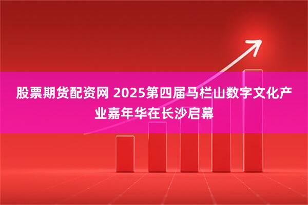 股票期货配资网 2025第四届马栏山数字文化产业嘉年华在长沙启幕